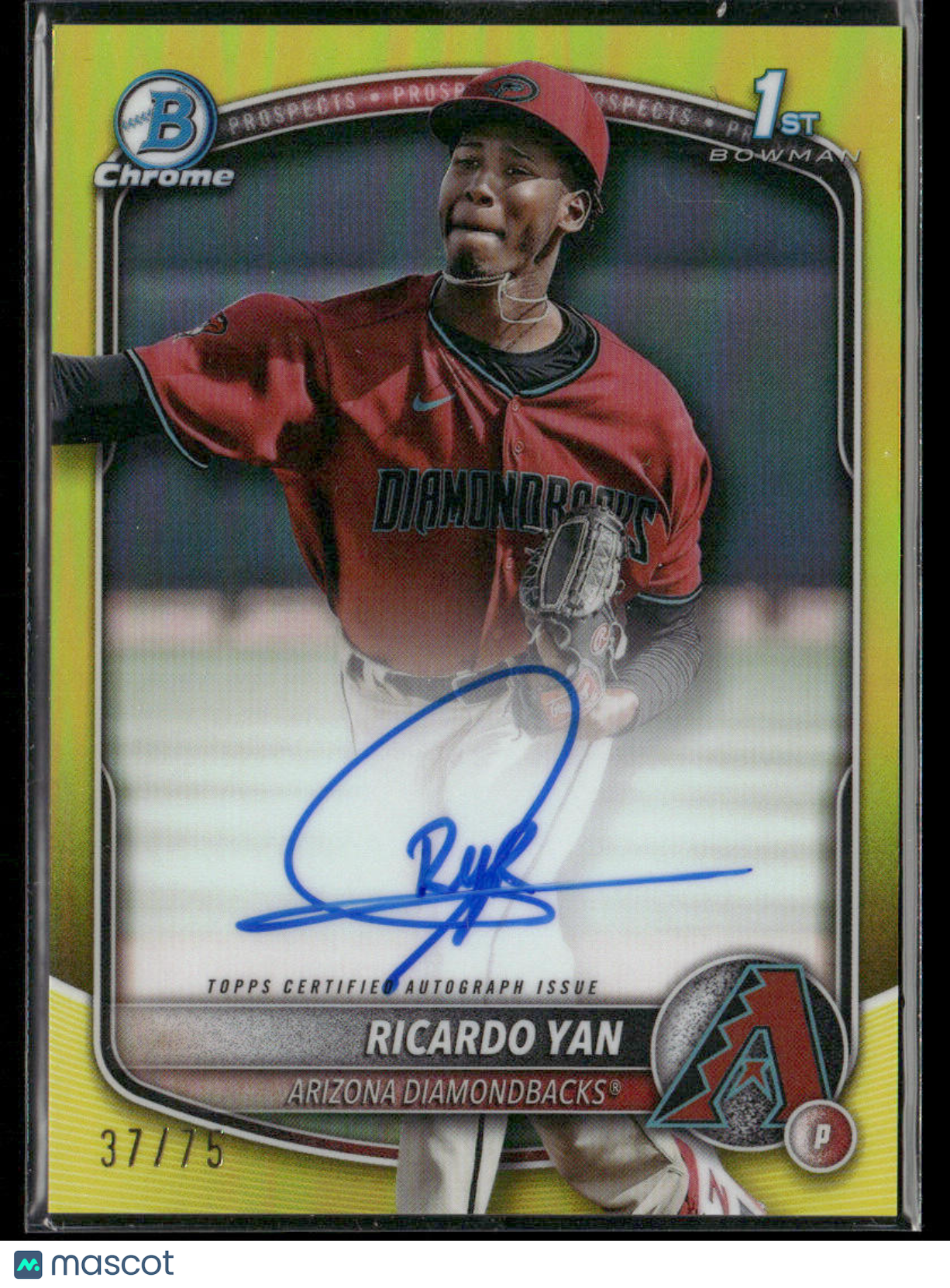 01K6GW025G04YXB5VBGHMJC815-watermark-raw-V2