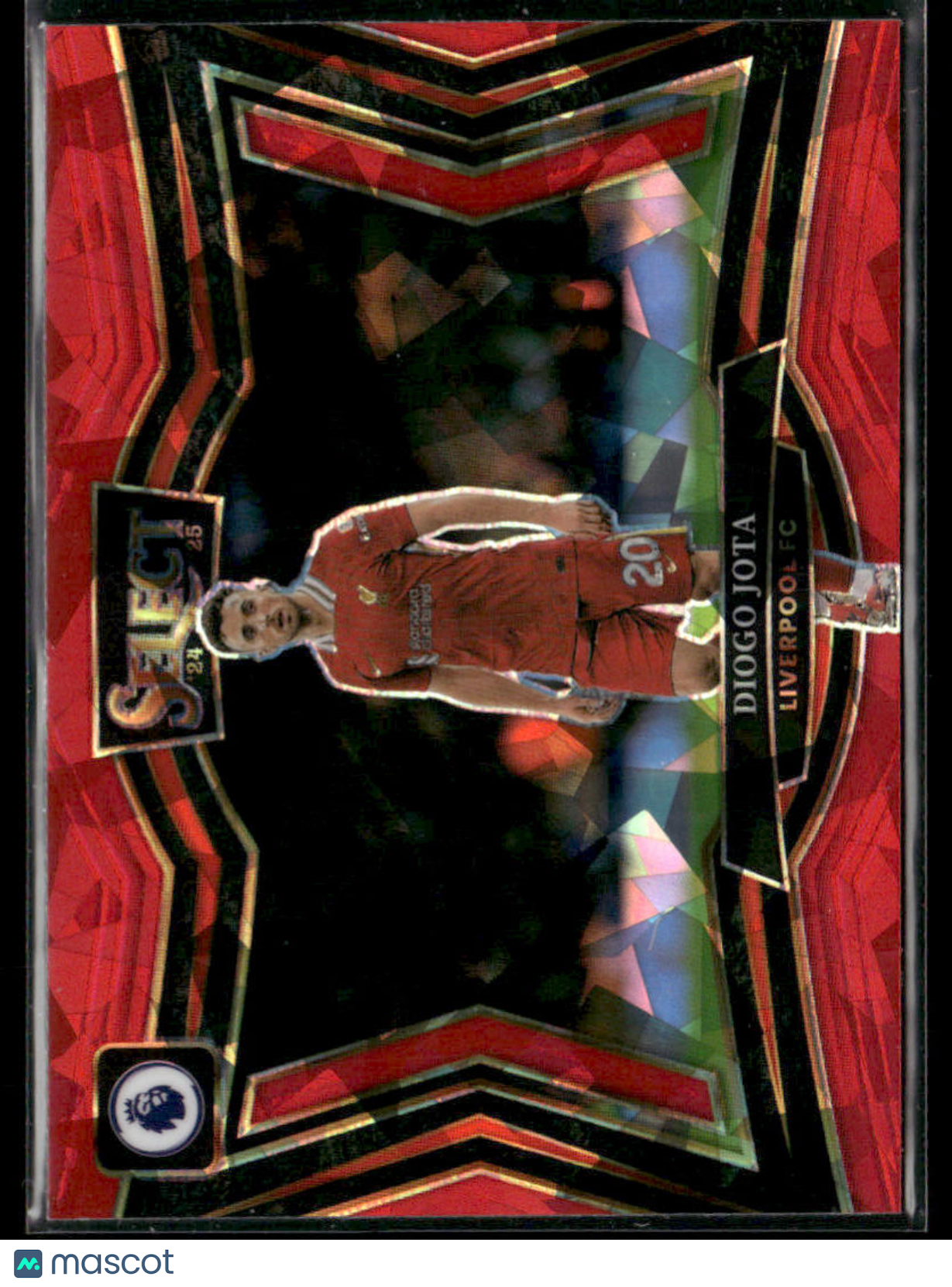 3c21f570-5f88-428f-ade5-cf574ea356de-watermark-raw-V2