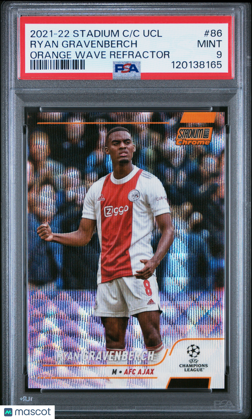 front-watermark-V2_2ab42b8e-22d3-48c6-9010-7c8850c1a5b7